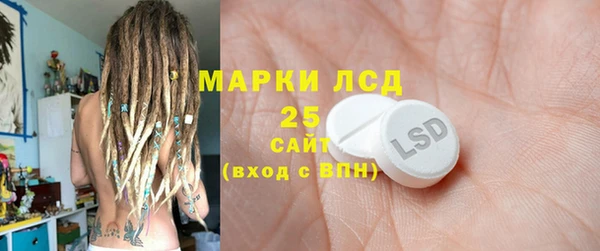ПСИЛОЦИБИНОВЫЕ ГРИБЫ Горняк