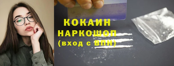 ПСИЛОЦИБИНОВЫЕ ГРИБЫ Горняк
