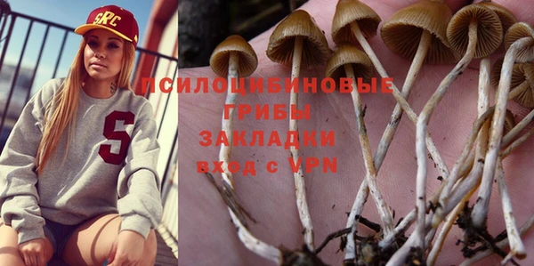 Альфа ПВП Горно-Алтайск