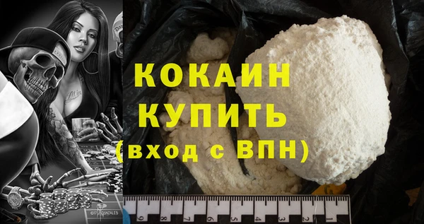 ПСИЛОЦИБИНОВЫЕ ГРИБЫ Горняк