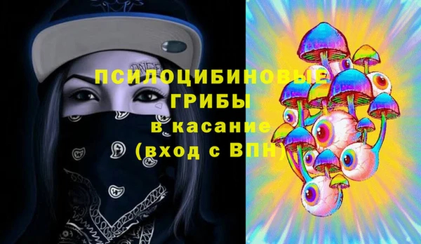 ПСИЛОЦИБИНОВЫЕ ГРИБЫ Горняк