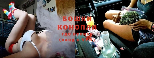ПСИЛОЦИБИНОВЫЕ ГРИБЫ Горняк