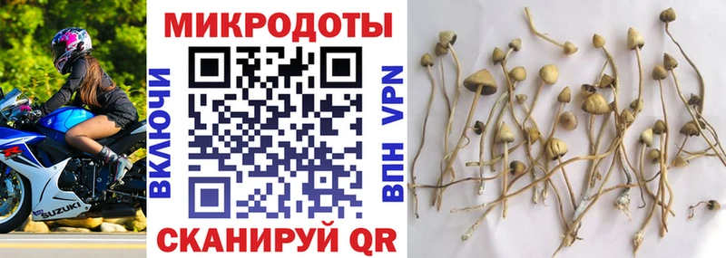 Псилоцибиновые грибы Psilocybe  Купить закладки  Козловка 